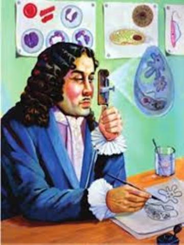 Antony Van Leeuwenhoek.