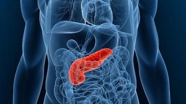 La conexión páncreas/diabetes