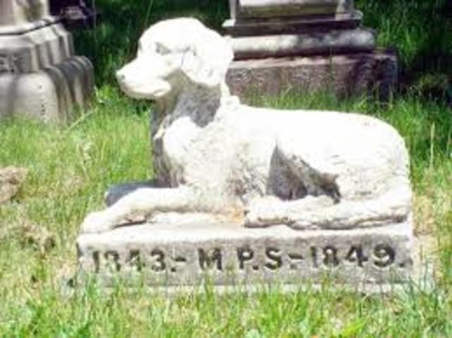 TUMBAS PARA ANIMALES.