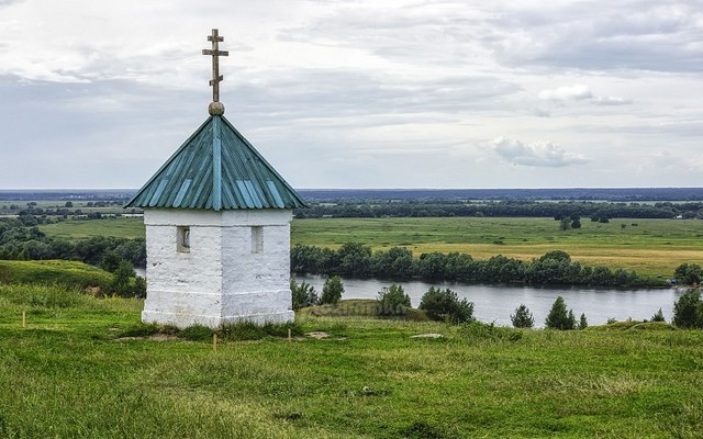 Дата рождения