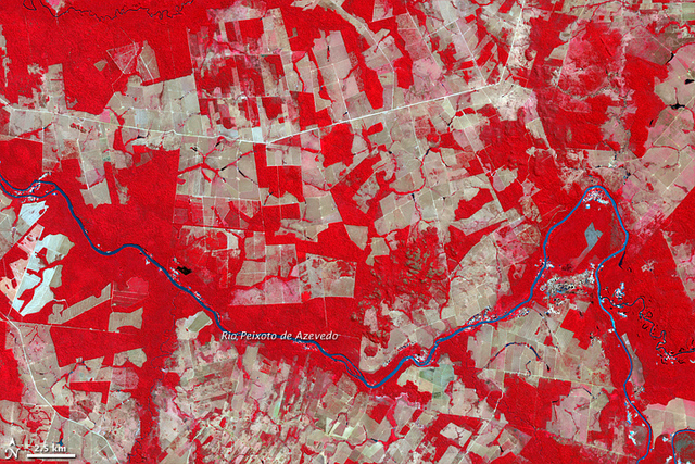 Deforestation in Mato Grosso