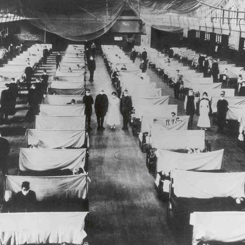 Influenza (flu) epidemic