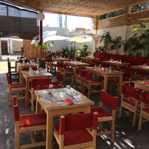 Habilidades y competencias