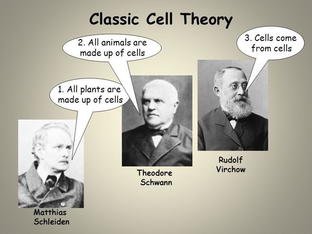Cellular Biology