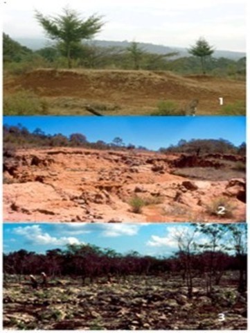 La erosión de los suelos