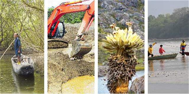 El ambiental de Colombia