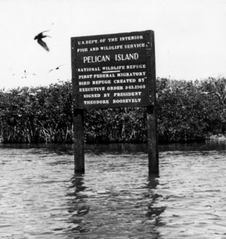 Roosevelt Established the First Wildlife Refuge