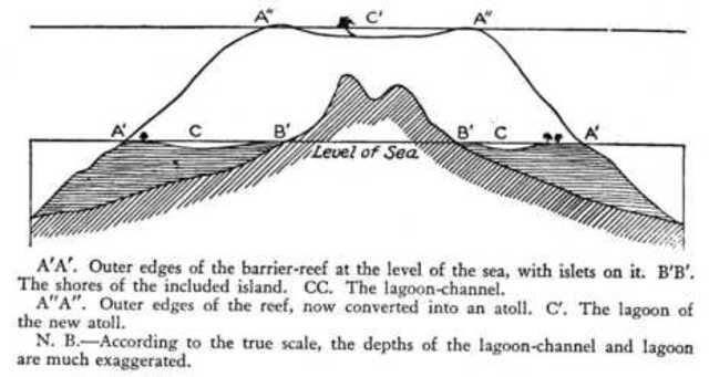 charles darwins published his book on the structure and dsitribution of coral reefs