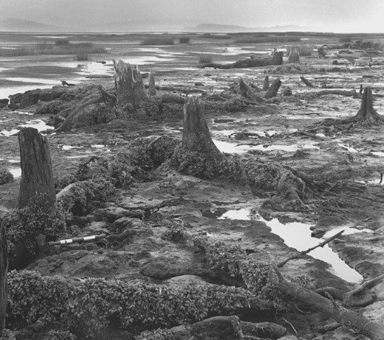 The Cascadia Earthquake