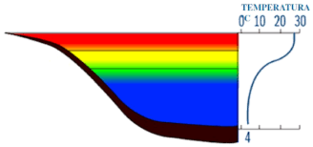 Simony,   estratificación térmica del agua .[3]
