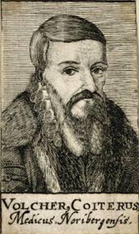 Volcher Coiter