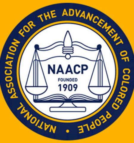 NAACP is established