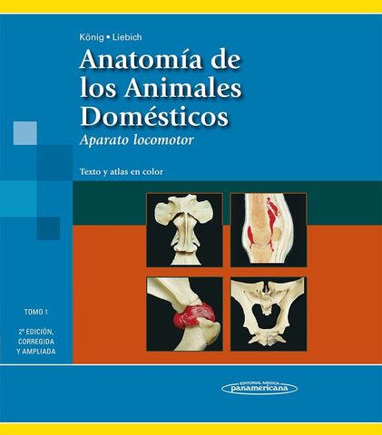 Anatomía de los animales domésticos