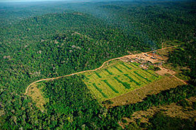 Deforestation in Mato Grosso