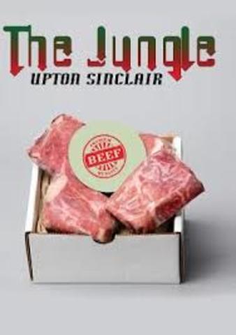 The book The Jungle is published