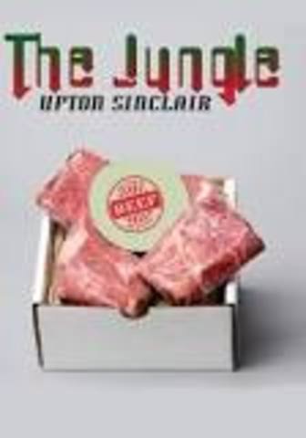 The book The Jungle is published