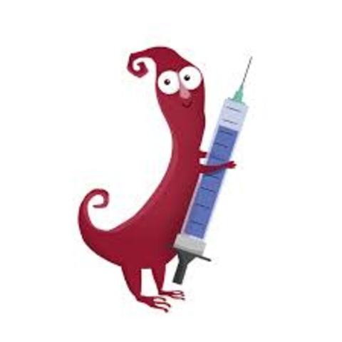 Medidas preventivas de viruela