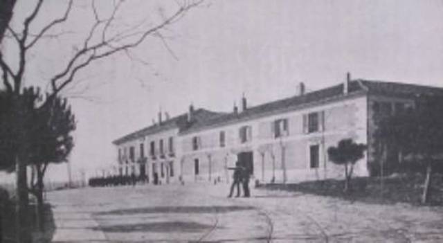 instituto agronomico veterinario.