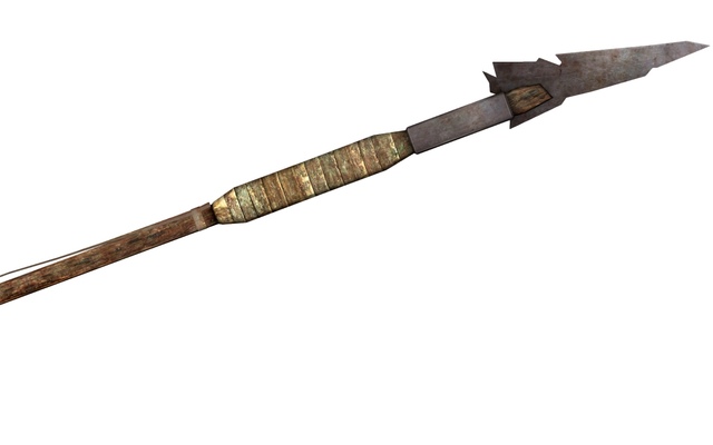 The Wooden Spear