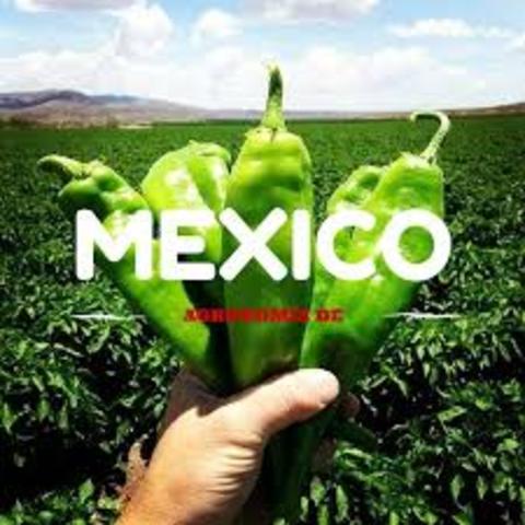 agronomia en mexico