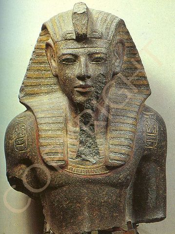 Plagas, pestes, contagios y epidemias