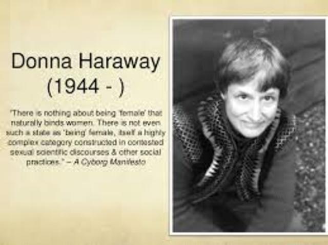 Science Questions in feminism and the privilege of prespective.