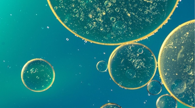 Precursors de les primeres cèl·lules