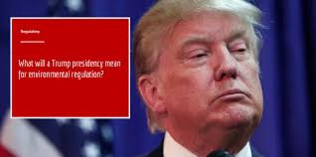 Trump is elected President