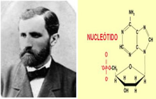 Descubrimiento del ácido nucleico