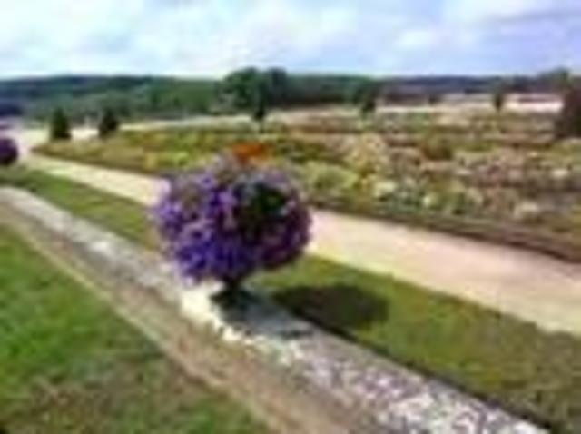 Difícil coyuntura económica