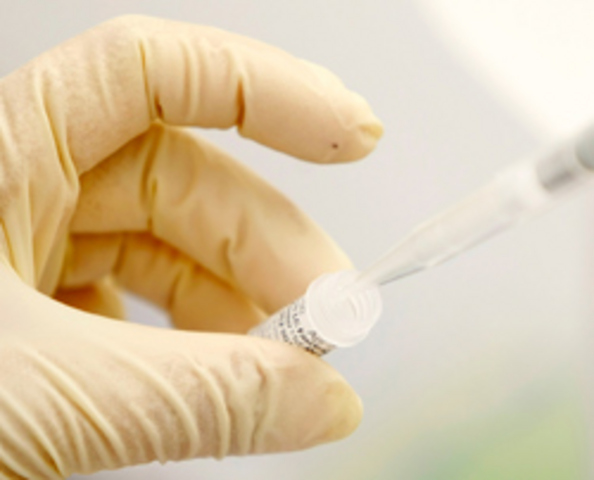 NZ goes to 'code yellow'