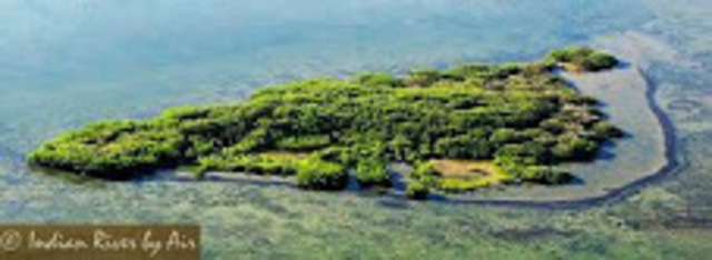 Progresive Era/First widlife refuge