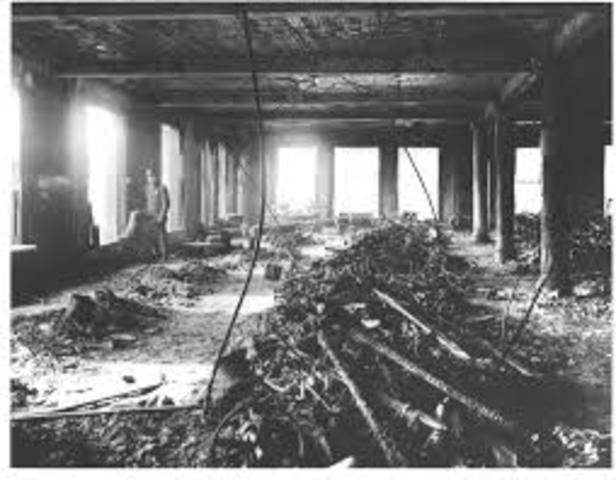 Progresive Era/Triangle Shirtwaist Factory Fire