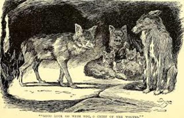 The book The Jungle is published-Progressive