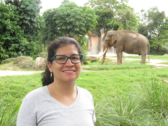 Visitando The Miami Zoo
