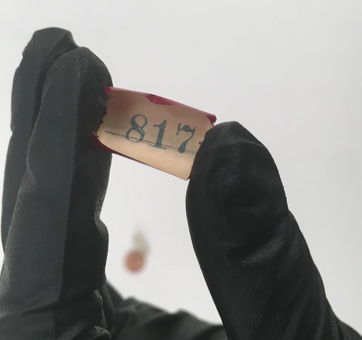 WW1 First Draft Lottery