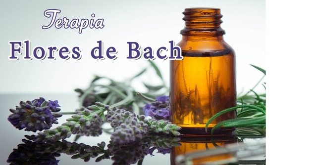 Edward Bach 1886-1936