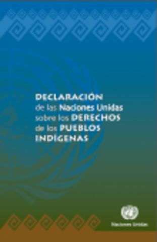 Declaración de las Naciones Unidas sobre los derechos de los pueblos indígenas