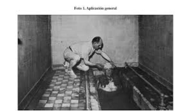 hidroterapia y renacimiento de la tecnica de balneoterapia 1855
