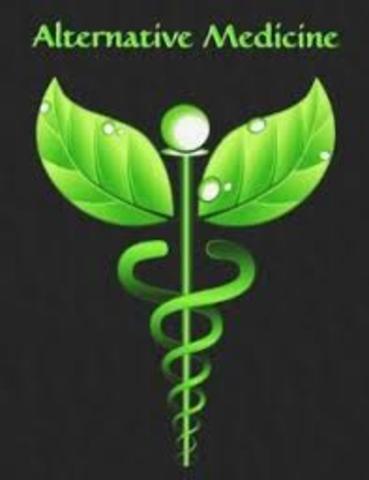 Año 1993   Lineamientos técnicos