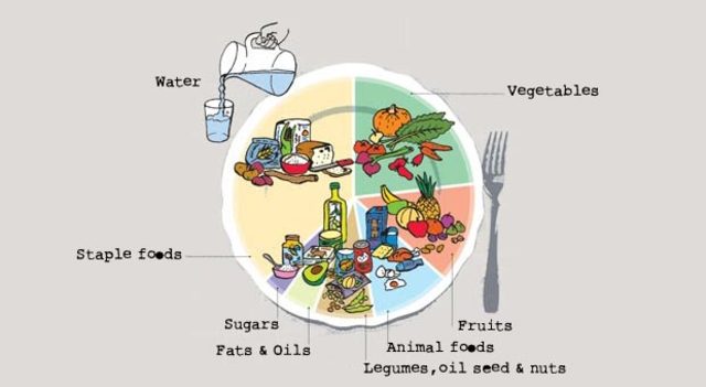 Practicas alimentarias adecuadas.