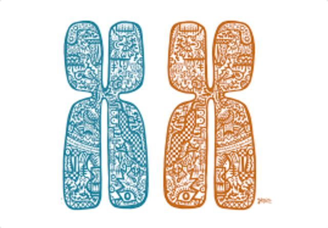 Descubrimiento de los cromosomas.