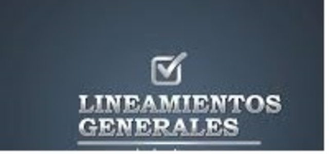 Lineamientos Generales
