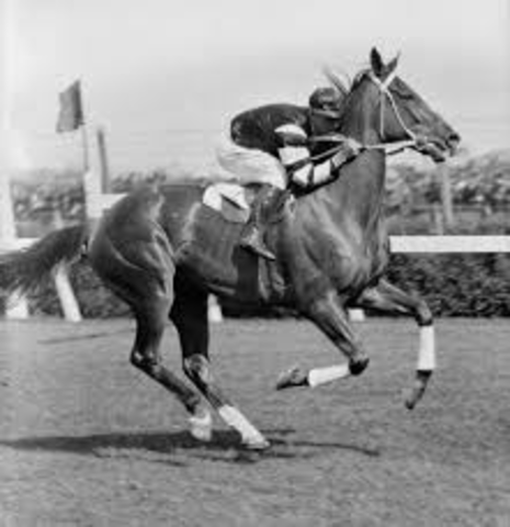 Phar Lap's Death