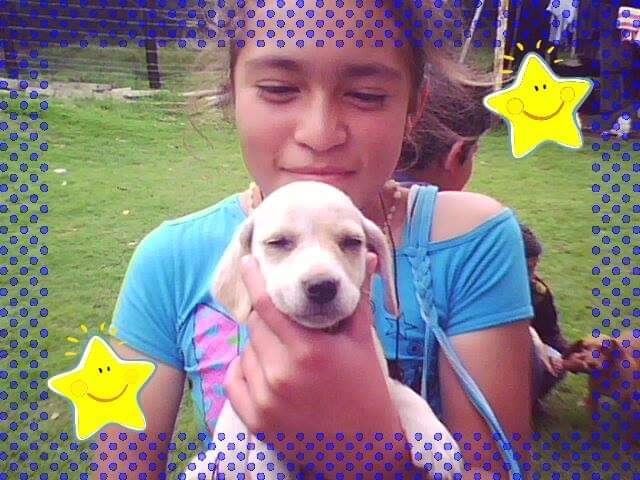 My Birthday number 8