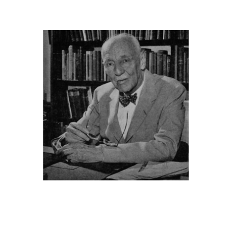 Paradigma de la HNE.