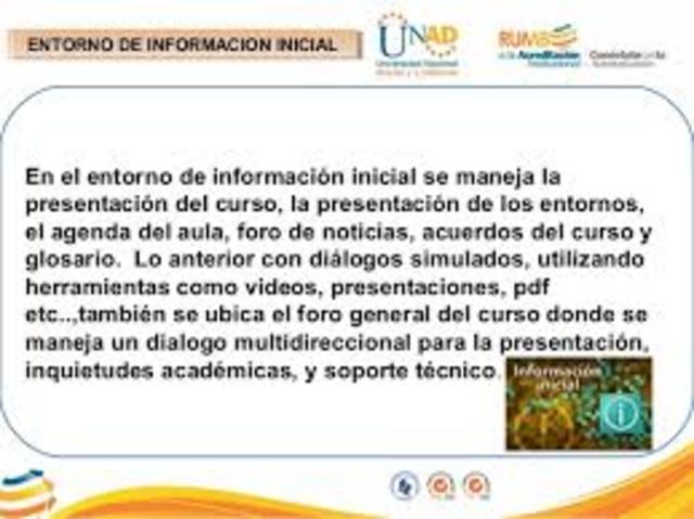 Entorno de informacion inicial
