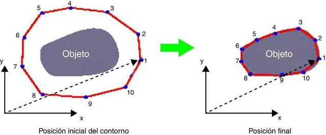 Modelos Deformables y Contornos Activos