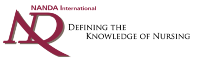 Se celebra la primera Nursing Diagnosis conference