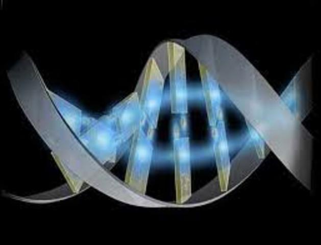 Combinación de biología y computación.